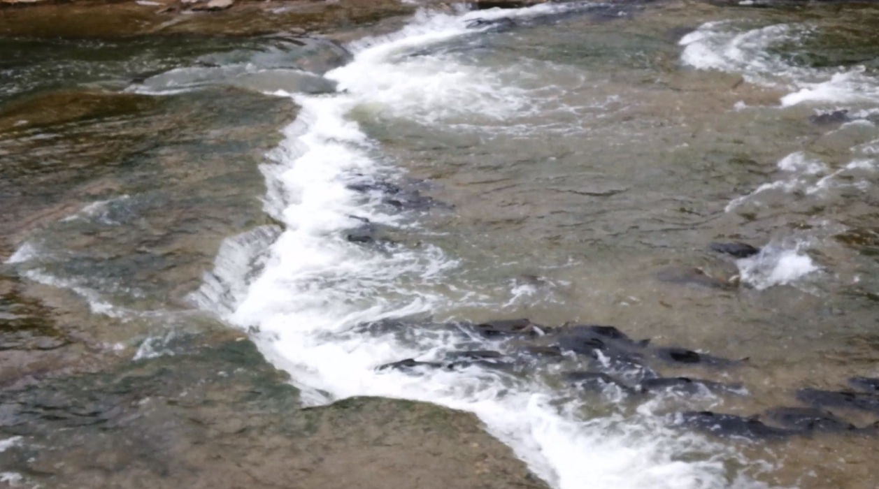 �������ܼ�˵��ȥ