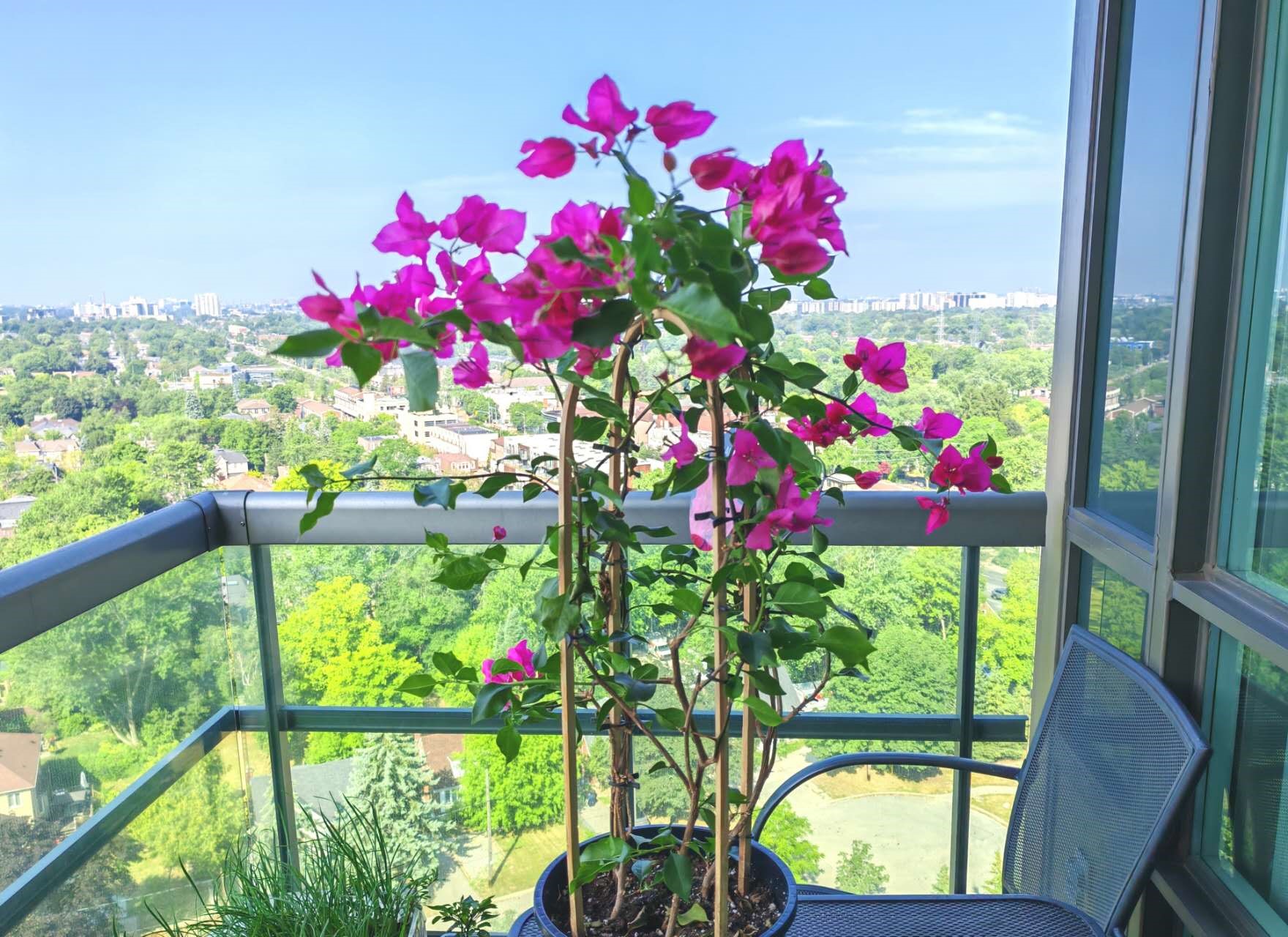 һ��Ѱ��������