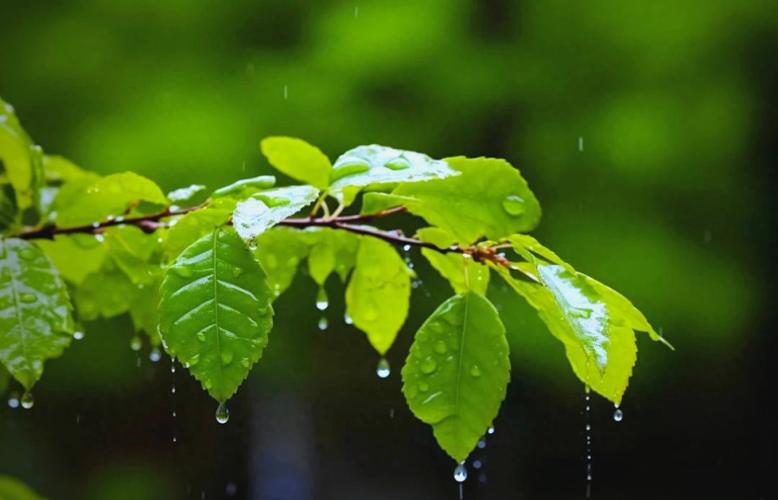 ��ˮ���¶�