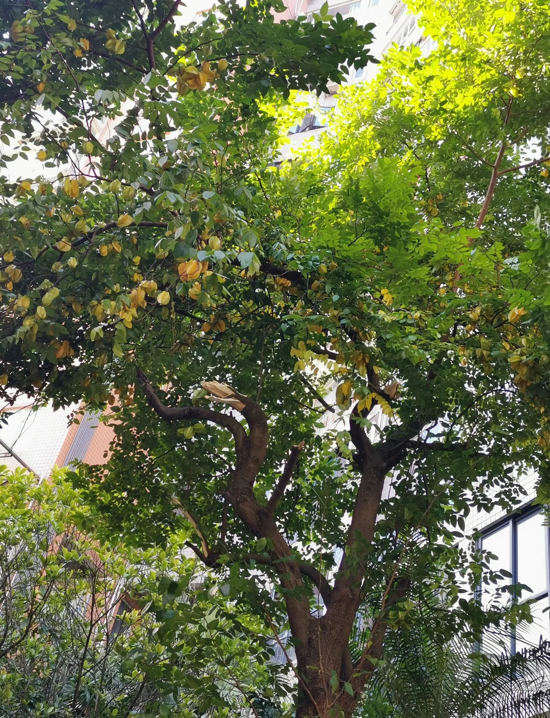 һ�����ң��������