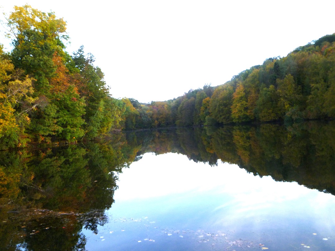 ��Ұ�������ռ�